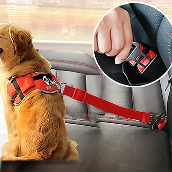 Bezpečnostný pás pre psa v aute